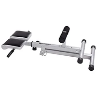 Banc d'exercice Hyperextension de Stamina