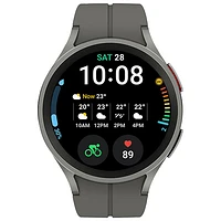 Montre intelligente LTE de 45 mm Samsung Galaxy Watch5 Pro - Gris