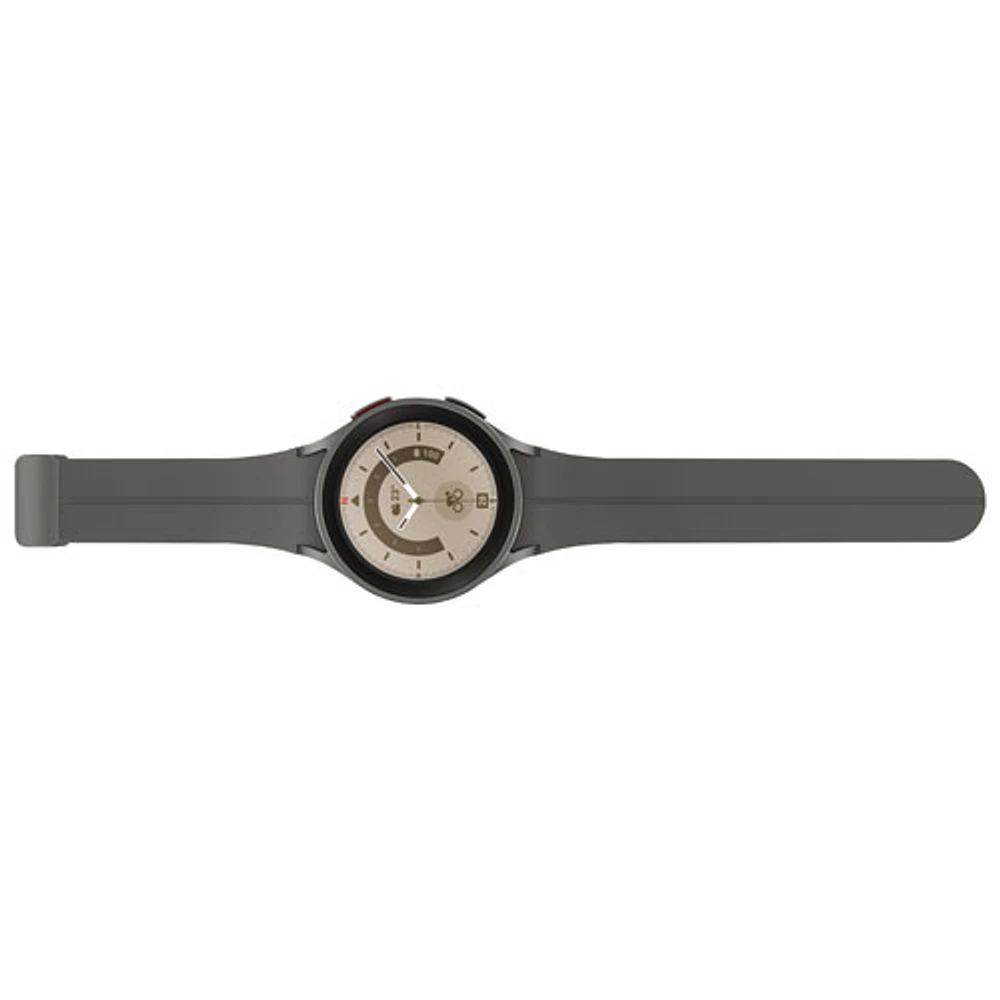 Montre intelligente LTE de 45 mm Samsung Galaxy Watch5 Pro - Gris