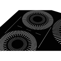 Surface de cuisson à induction de 30 po à 4 éléments de Frigidaire (FCCI3027AB) - Noir