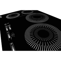 Surface de cuisson à induction de 30 po à 4 éléments de Frigidaire (FCCI3027AB) - Noir