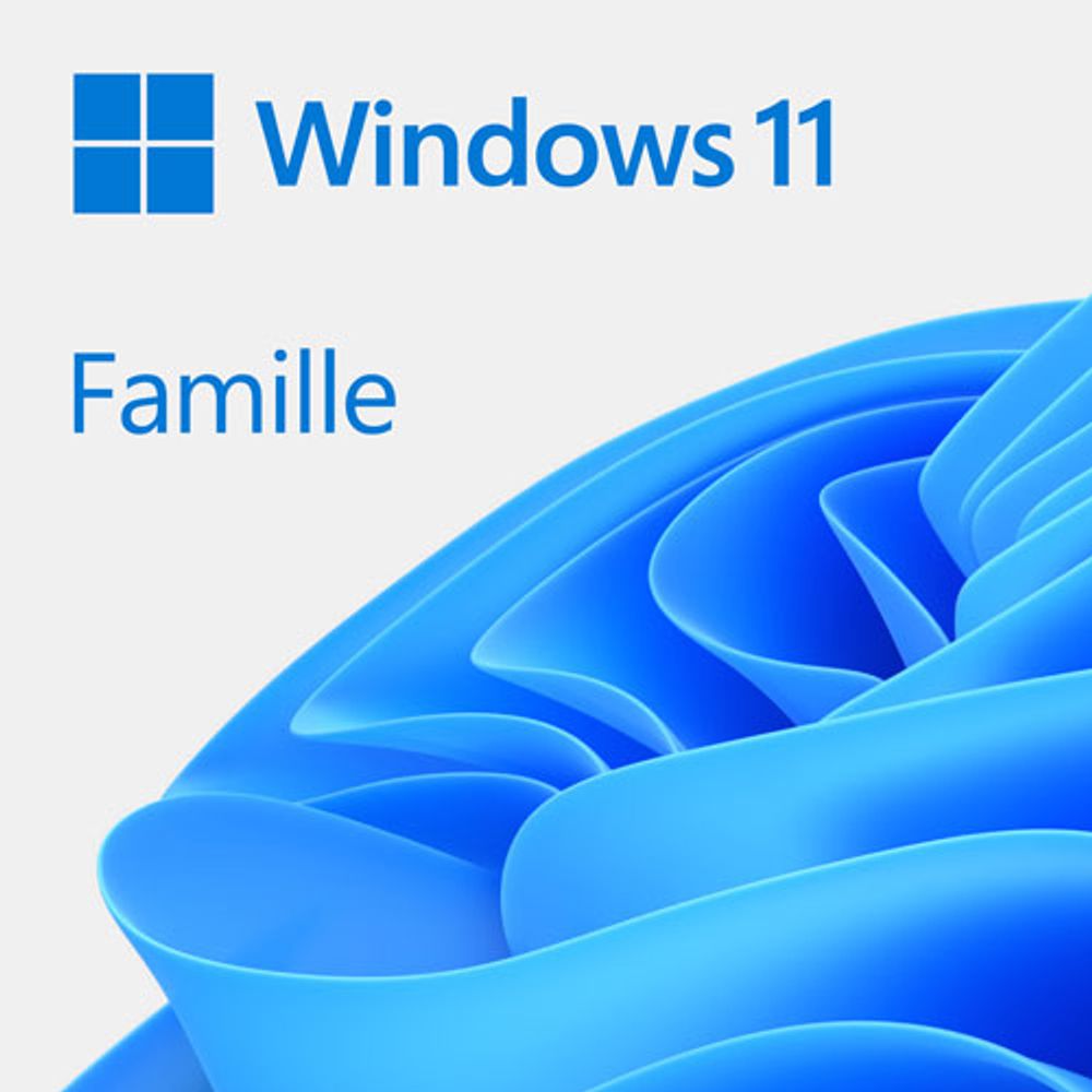 Microsoft Windows 11 Home DVD - OEM Version (PC) - French