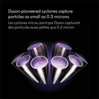 Dyson V10 Animal+ Cordless Stick Vacuum - Sprayed Nickel/Iron