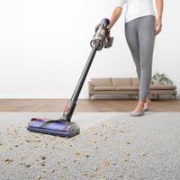 Dyson V10 Animal+ Cordless Stick Vacuum - Sprayed Nickel/Iron