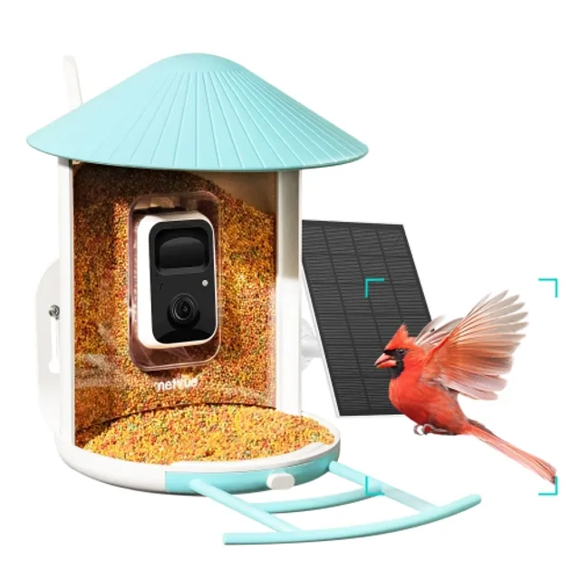 4K Smart Bird Feeder with Camera