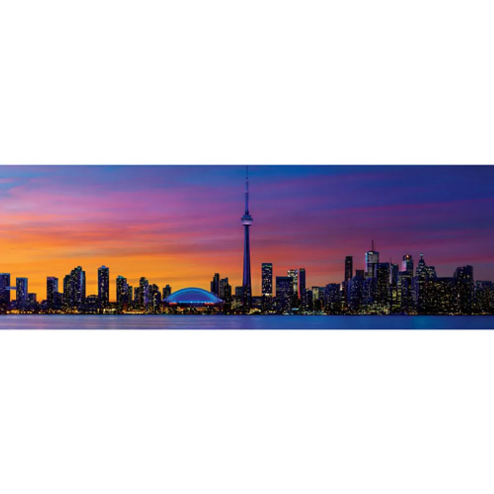 Toronto Panoramic Puzzle - 1000 Pieces