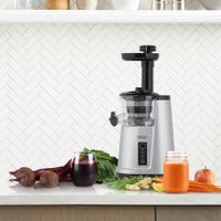 Omega Cold Press 365 Slow Juicer