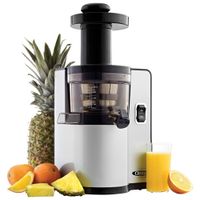 Omega Cold Press Slow Juicer - Silver