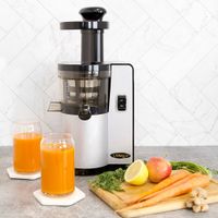 Omega Cold Press Slow Juicer - Silver