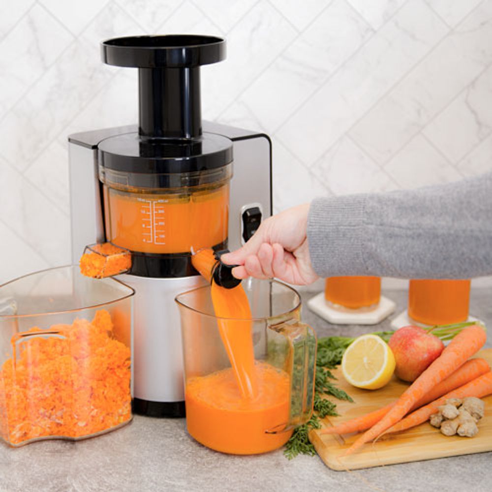 Omega Cold Press Slow Juicer - Silver