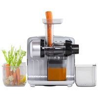 Omega Cold Press 365 Slow Juicer - Silver