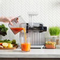 Omega Cold Press 365 Slow Juicer - Silver