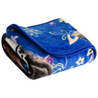 Nemcor Disney Encanto Polyester Throw Blanket - Multi-Colour