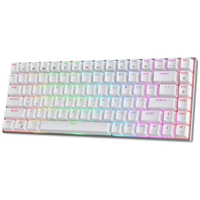 Clavier Gaming Mécanique RK61 60% - Tri- Mode - Clavier Gaming