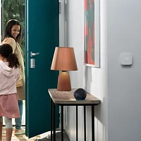 Amazon Echo Dot (5th Gen) Smart Speaker with Alexa - Charcoal