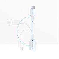 Anker USB-C to Lightning Audio Adapter (A8178H21-1) - White