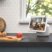 Blink Mini Pan-Tilt Mount