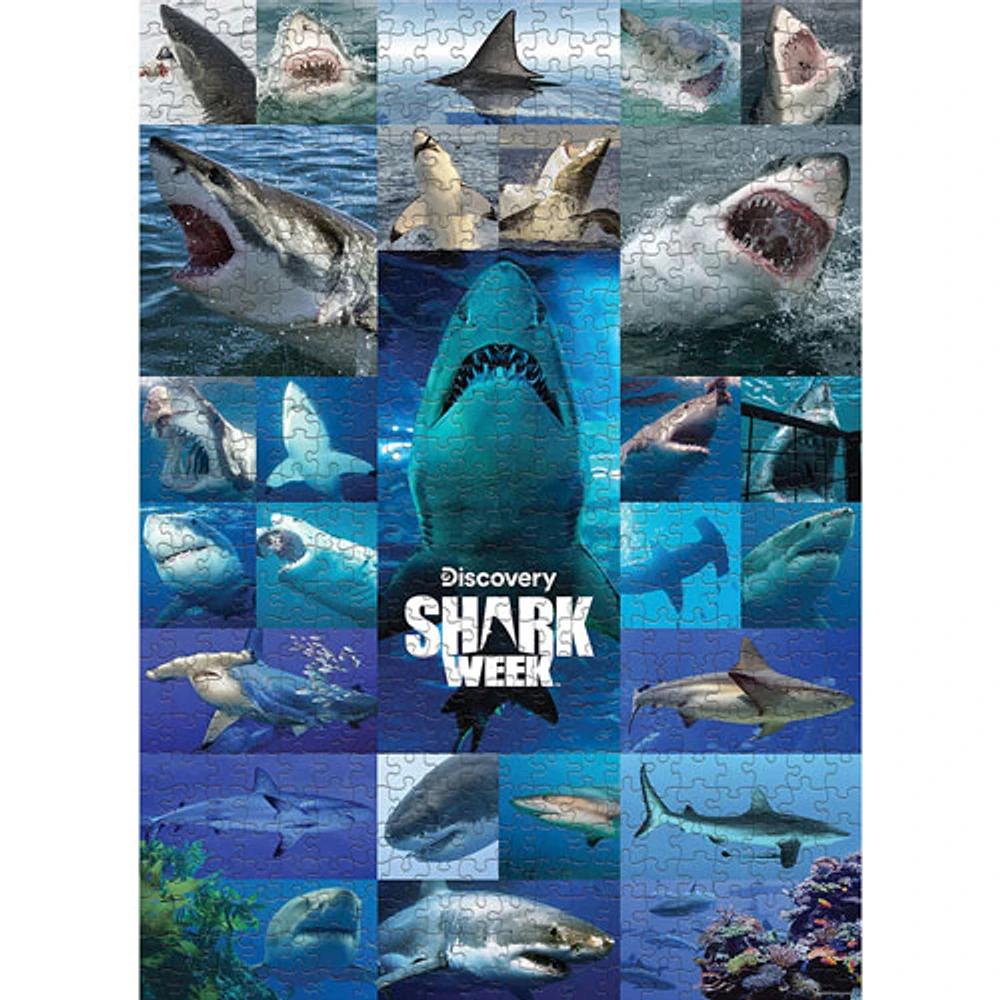 Casse-tête Shark Week: Shiver of Sharks - 1000 morceaux