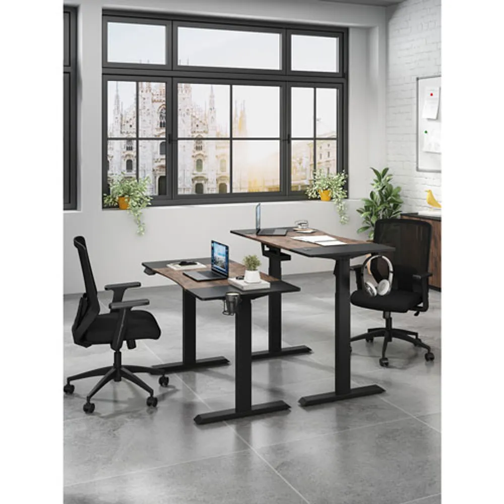 LjubLjana 53" Electric Height Adjustable Sit-Stand Desk