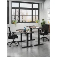 LjubLjana 53" Electric Height Adjustable Sit-Stand Desk