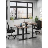 LjubLjana 53" Electric Height Adjustable Sit-Stand Desk - Wood