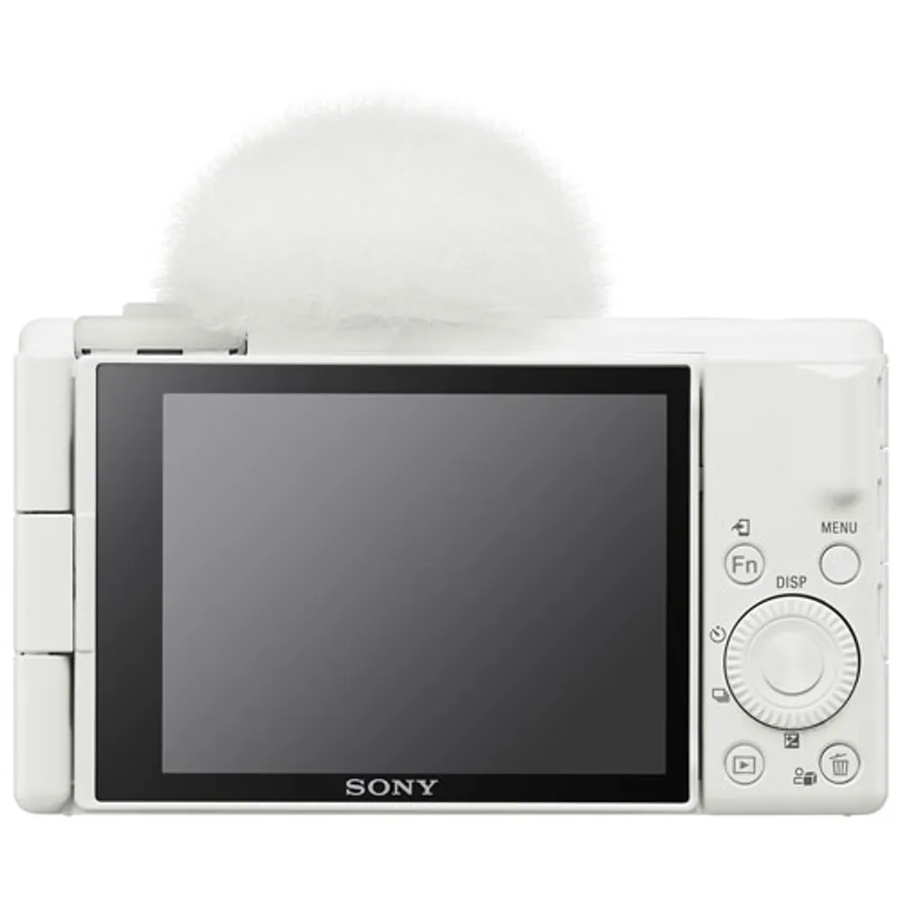 Appareil photo numérique de 20,1 Mpx ZV-1F de Sony pour vlogage