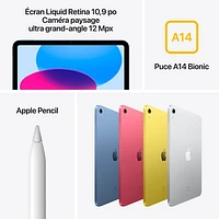 iPad de 10,9 po et de 256 Go d'Apple avec Wi-Fi 6 (10e génération) - Rose