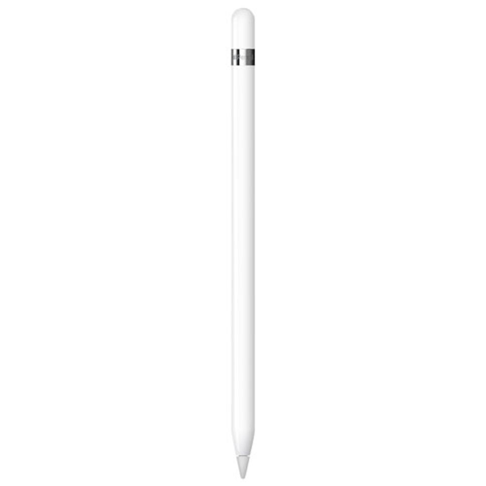Apple Pencil (1st Generation) with USB-C Adapter for iPad - White