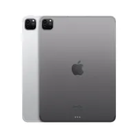 Apple iPad Pro 11" 256GB with Wi-Fi & 5G (4th Generation) - Silver