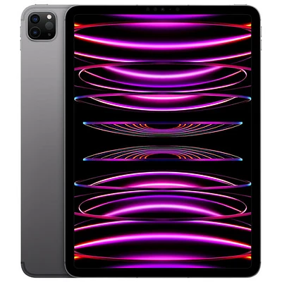 iPad Pro 11 po 256 Go d'Apple avec Wi-Fi (4e génération) - Gris cosmique