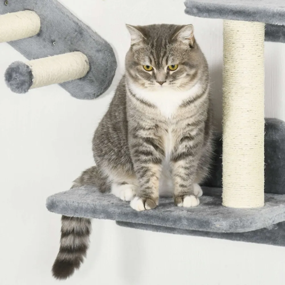 PawHut PCs Cat Wall Shelves, Pet Wall-mounted Climbing Shelf Set, Kitten Activity  Centre with Condo, Cushion, Scratching Post, Jumping Platform, Grey  Scarborough Town Centre
