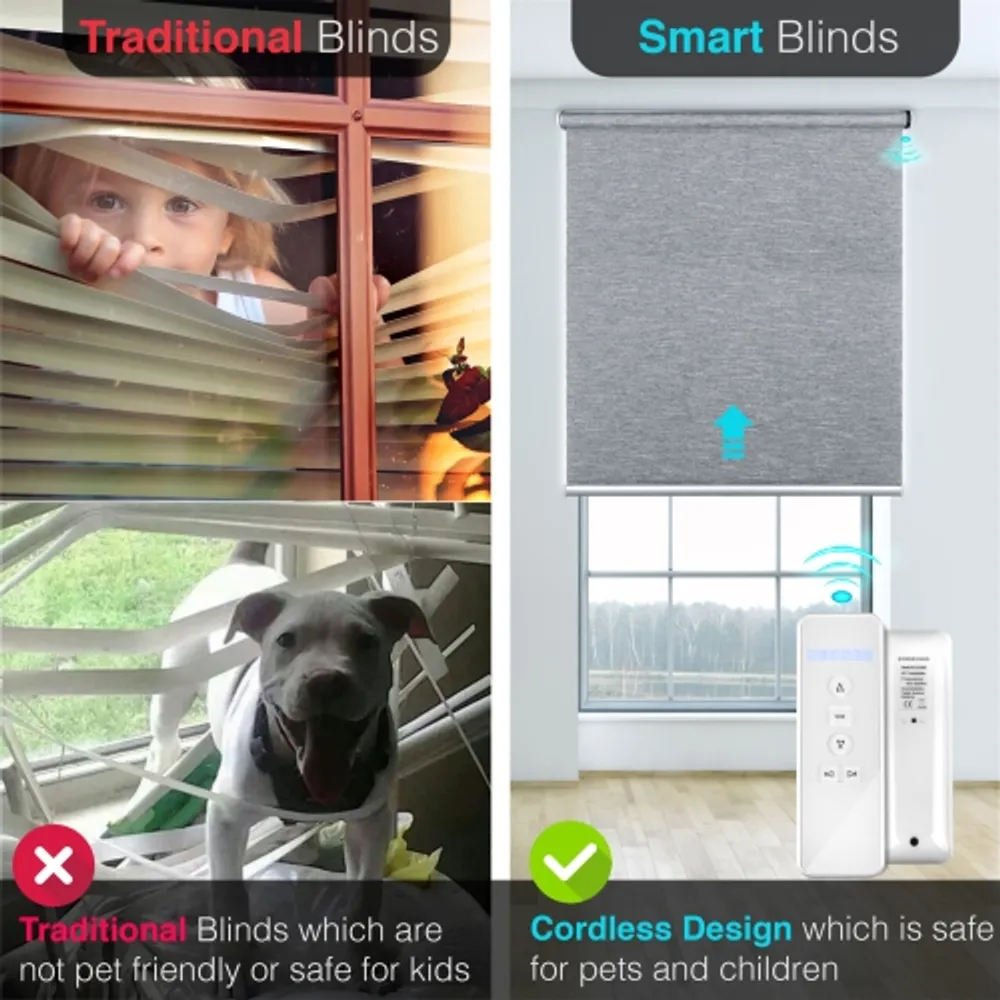 BILTEK Smart Blinds for Windows Light Filtering Shades Motorized Roller  Blinds & Shades Cordless Window Blinds Electric Blinds with Remote