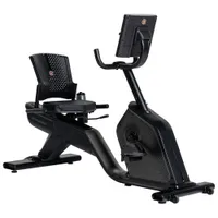 Schwinn 290 Recumbent Bike - Free 2-Month JRNY Membership*