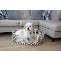 Bowser & Meowser Oval Resin Wicker Pet Bed