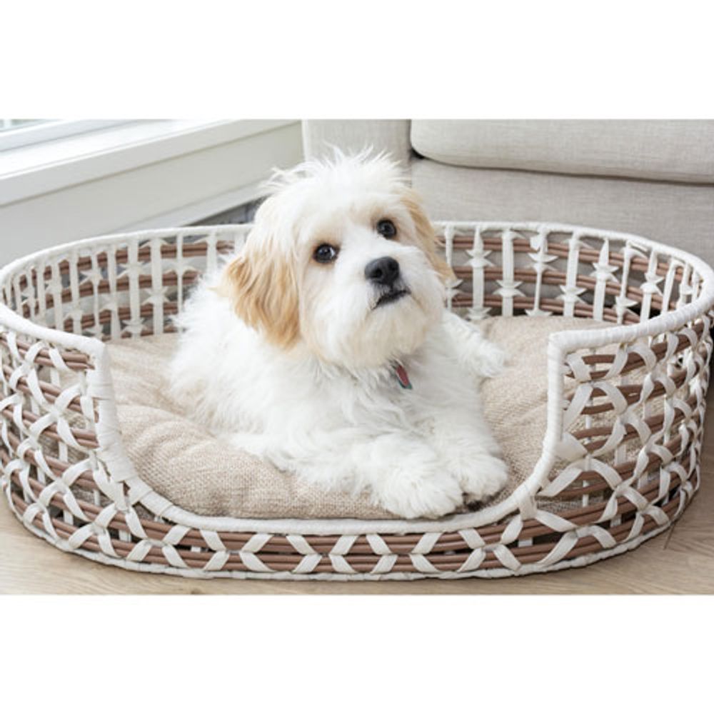 Bowser & Meowser Oval Resin Wicker Pet Bed