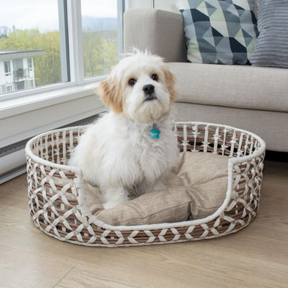 Bowser & Meowser Oval Resin Wicker Pet Bed