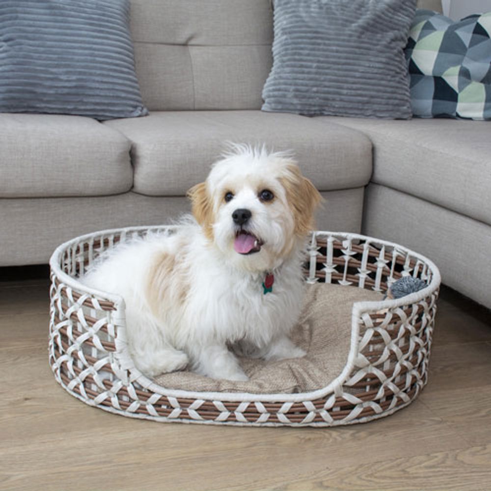 Bowser & Meowser Oval Resin Wicker Pet Bed