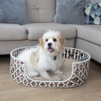 Bowser & Meowser Oval Resin Wicker Pet Bed