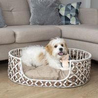 Bowser & Meowser Oval Resin Wicker Pet Bed