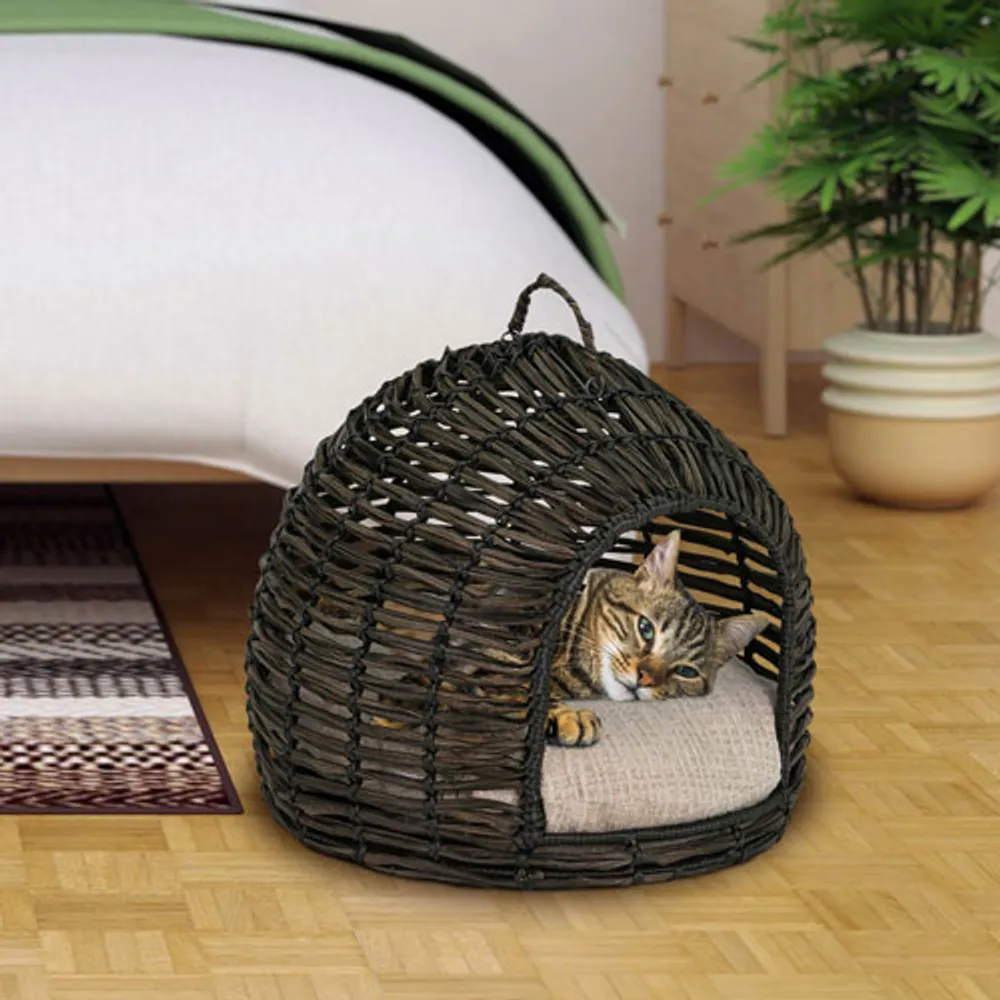 Bowser & Meowser Resin Wicker Hideaway Pet Bed with Handle