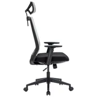 Naz Expert Full-Back Mesh Office Chair with Headrest - Black