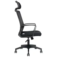 Naz Aspire Full-Back Mesh Office Chair with Headrest - Black