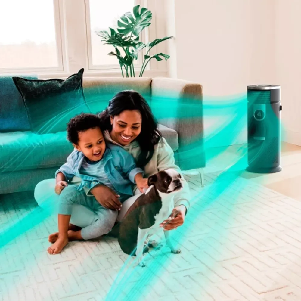 Shark HC452 3-in-1 Air Purifier, Heater u0026 Fan with NanoSeal HEPA,  Cleansense IQ, Odor Lock, for 500 Sq. Ft, Captures 99.98% of Particles,  Dust, Allergens u0026 Smoke, 0.1-0.2 Microns, | Scarborough Town Centre