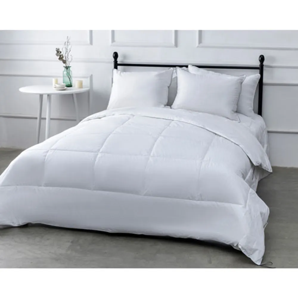 Millano Collection 250 Thread Count SilverClear Cotton Duvet - Double/Full - White