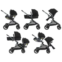 Poussette modulaire Pivot Xpand d'Evenflo avec siège d'auto pour bébé LiteMax - Noir Ayrshire