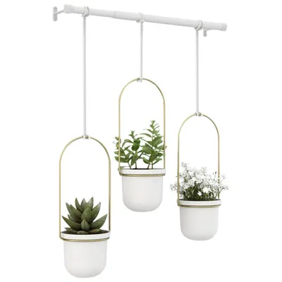 Umbra Triflora Modern Hanging Planter - White/Brass