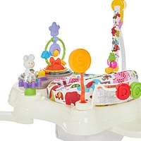 Dream On Me Zany 2-in-1 Activity Centre & Bouncer