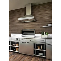 Best 48" Outdoor Wall Mount Range Hood (WTD9M48SB) - Stainless Steel