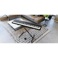 Korg Liano L1 88-Key Digital Piano