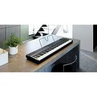 Korg Liano L1 88-Key Digital Piano